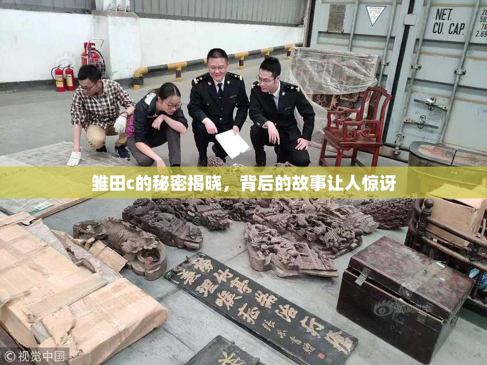 雏田c的秘密揭晓，背后的故事让人惊讶