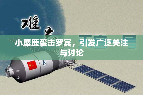 小麋鹿袭击罗宾，引发广泛关注与讨论