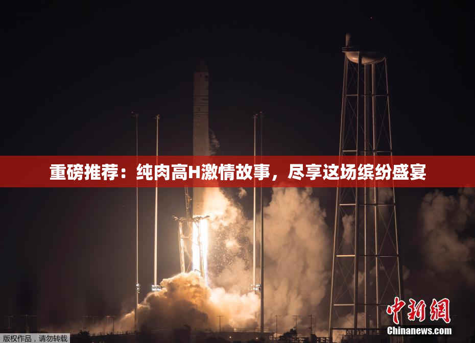 重磅推荐：纯肉高H激情故事，尽享这场缤纷盛宴