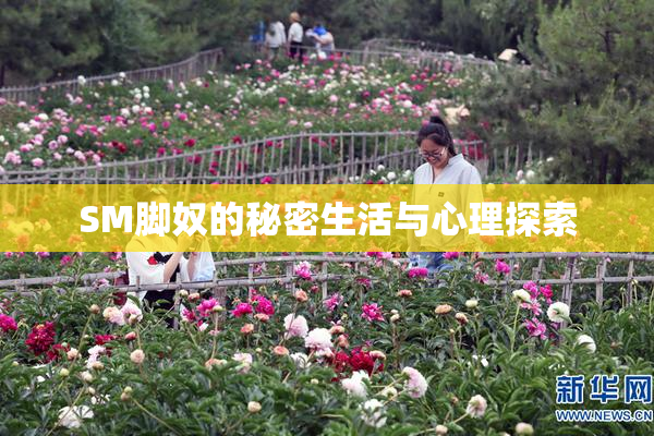 SM脚奴的秘密生活与心理探索