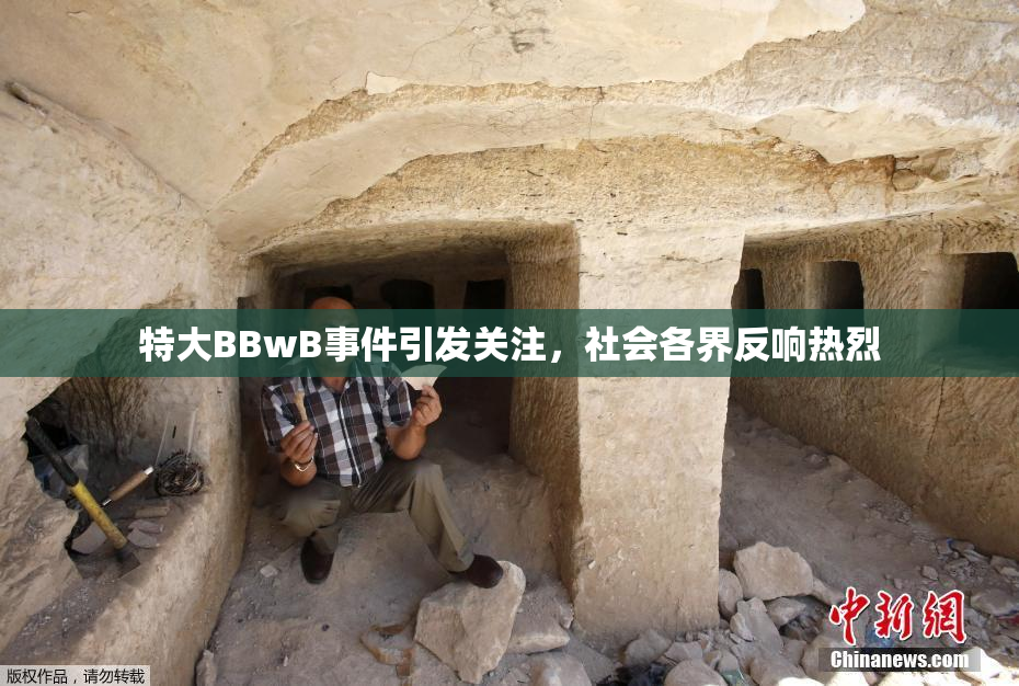 特大BBwB事件引发关注，社会各界反响热烈