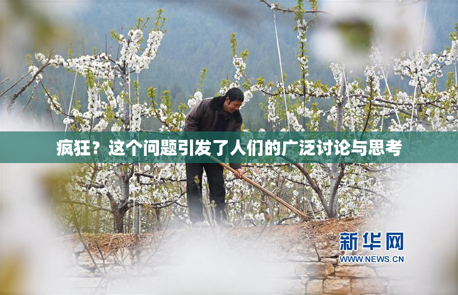 疯狂？这个问题引发了人们的广泛讨论与思考