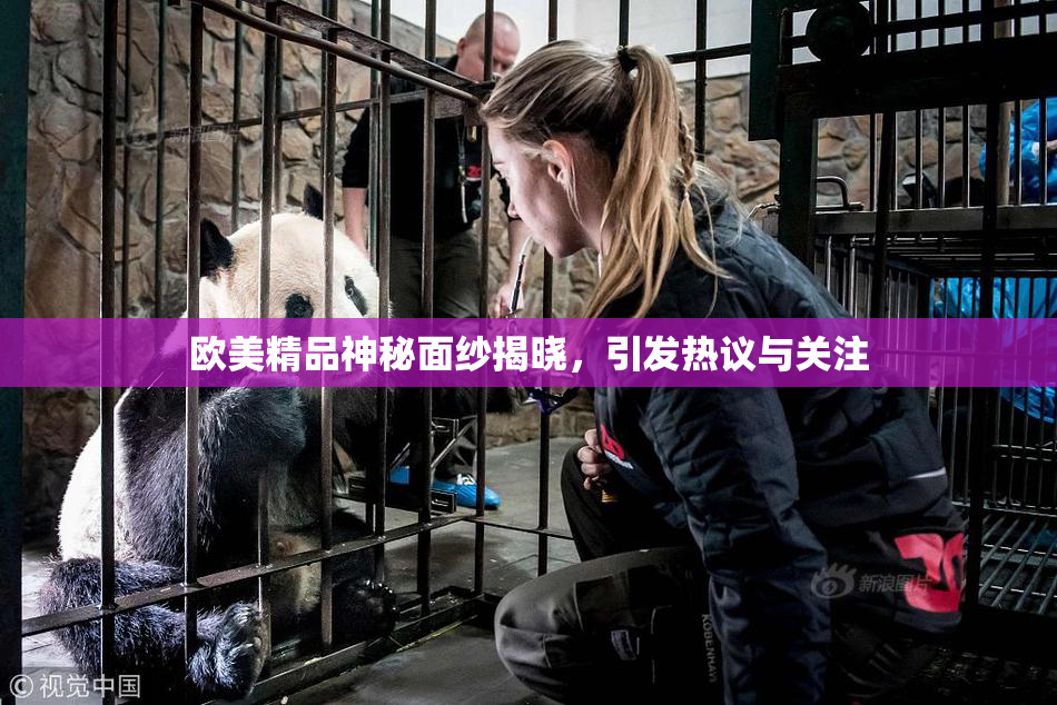 欧美精品神秘面纱揭晓，引发热议与关注