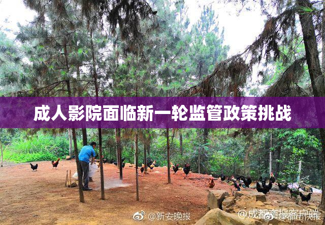 成人影院面临新一轮监管政策挑战