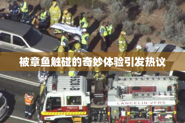 被章鱼触碰的奇妙体验引发热议