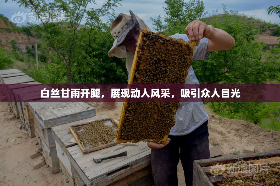 白丝甘雨开腿，展现动人风采，吸引众人目光