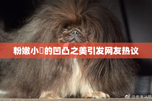 粉嫩小泬的凹凸之美引发网友热议