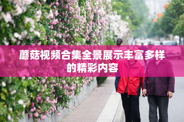 蘑菇视频合集全景展示丰富多样的精彩内容
