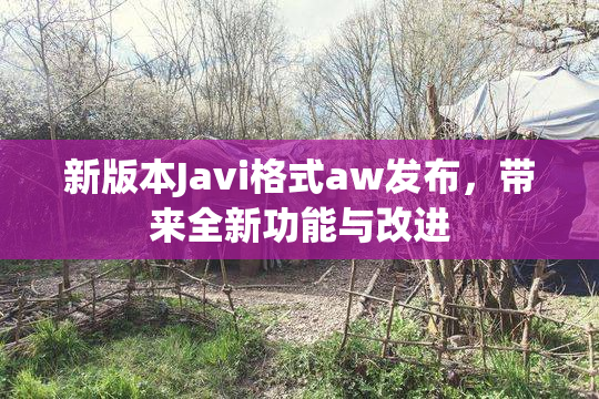 新版本Javi格式aw发布，带来全新功能与改进