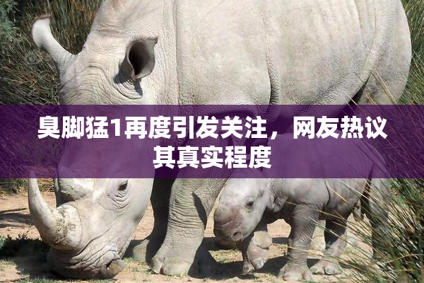 臭脚猛1再度引发关注，网友热议其真实程度