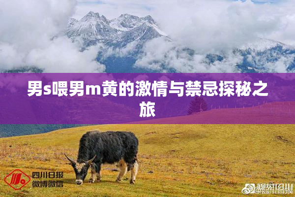 男s喂男m黄的激情与禁忌探秘之旅