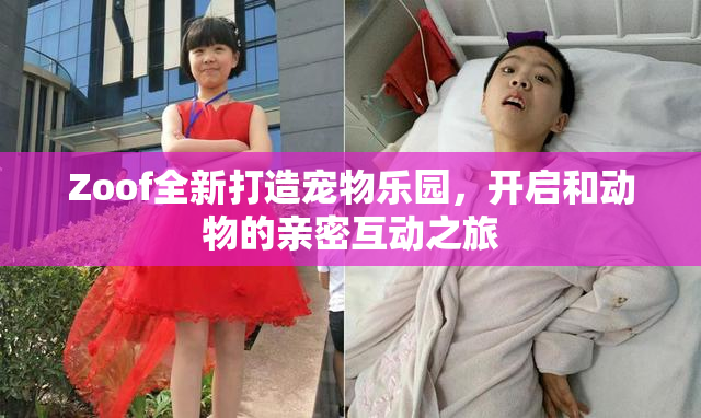 Zoof全新打造宠物乐园，开启和动物的亲密互动之旅