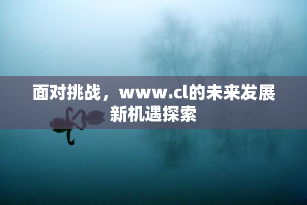 面对挑战，www.cl的未来发展新机遇探索