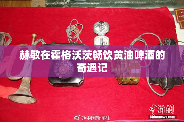赫敏在霍格沃茨畅饮黄油啤酒的奇遇记