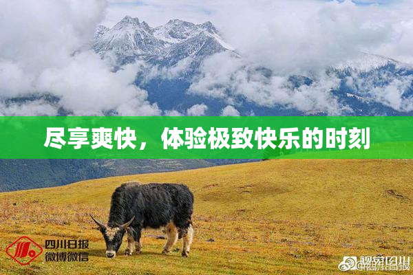 尽享爽快，体验极致快乐的时刻