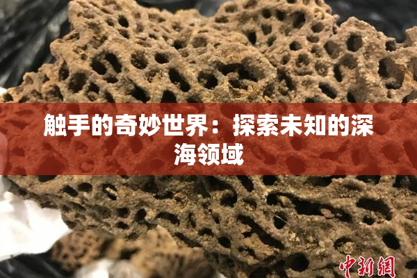 触手的奇妙世界：探索未知的深海领域