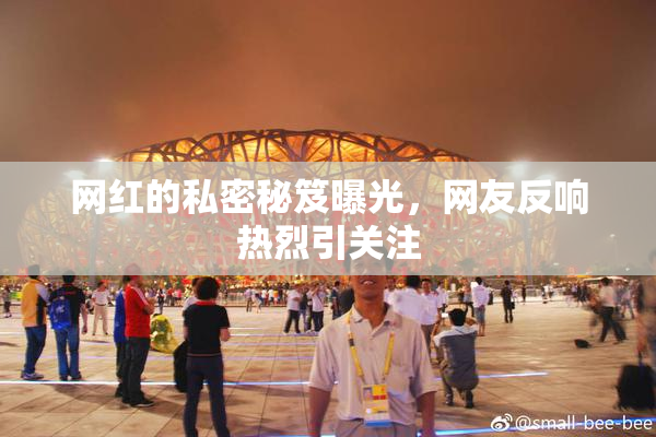 网红的私密秘笈曝光，网友反响热烈引关注