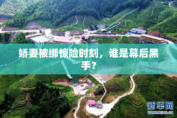 娇妻被绑惊险时刻，谁是幕后黑手？