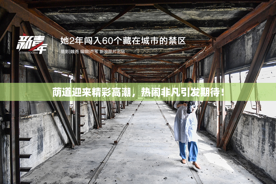 荫道迎来精彩高潮，热闹非凡引发期待！