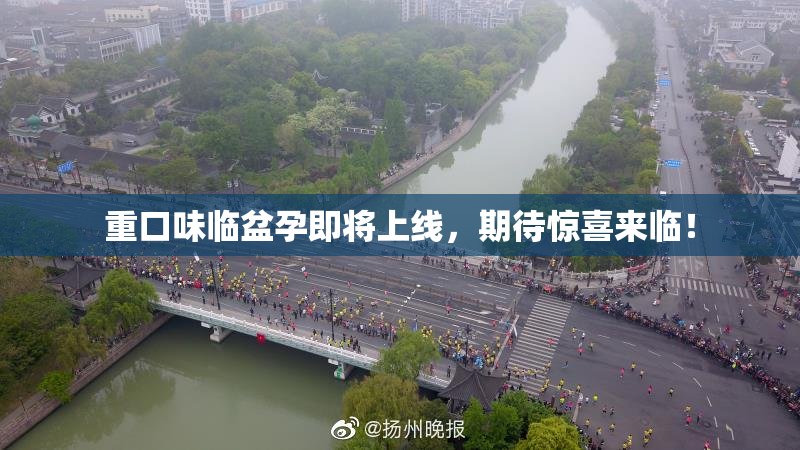 重口味临盆孕即将上线，期待惊喜来临！