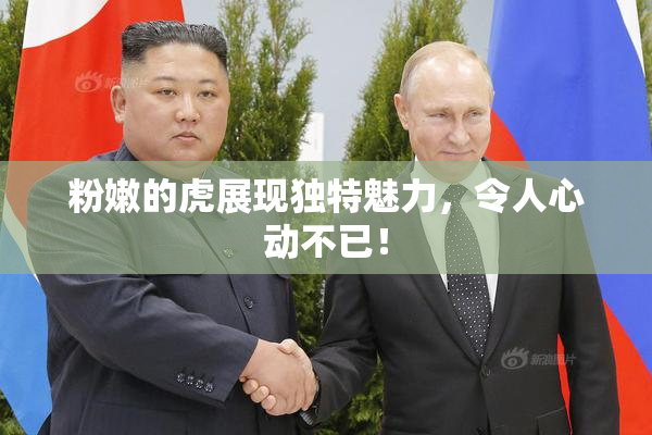 粉嫩的虎展现独特魅力，令人心动不已！