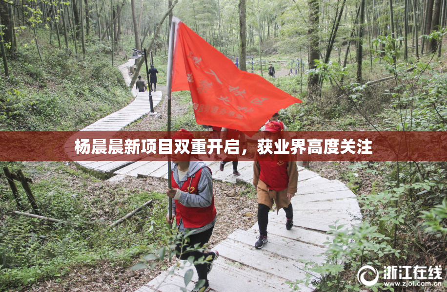 杨晨晨新项目双重开启，获业界高度关注
