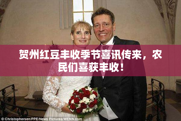 贺州红豆丰收季节喜讯传来，农民们喜获丰收！