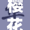 樱花校园盛开时节，解锁春季浪漫新体验