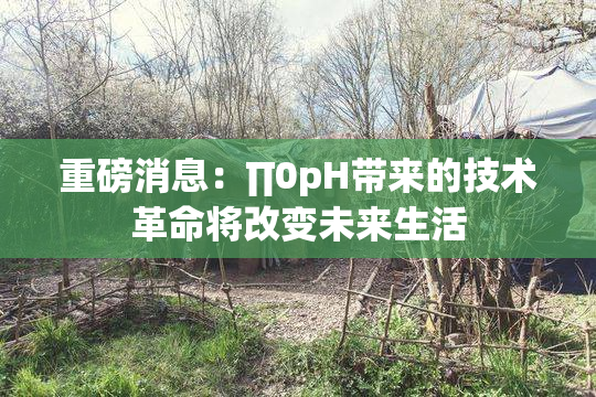 重磅消息：∏0pH带来的技术革命将改变未来生活