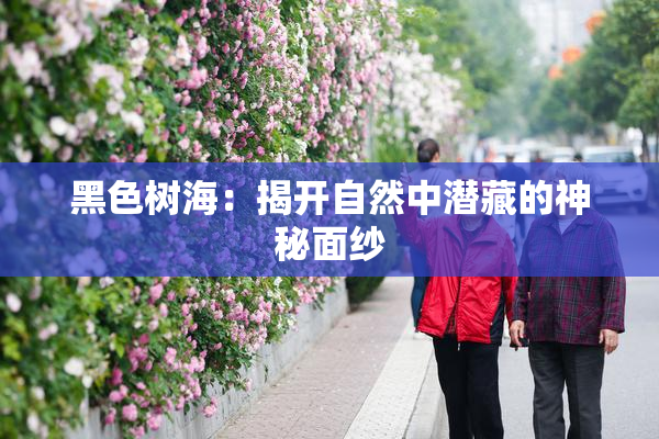 黑色树海：揭开自然中潜藏的神秘面纱
