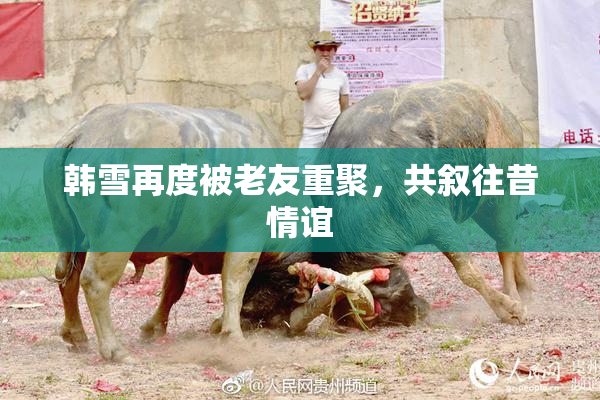 韩雪再度被老友重聚，共叙往昔情谊