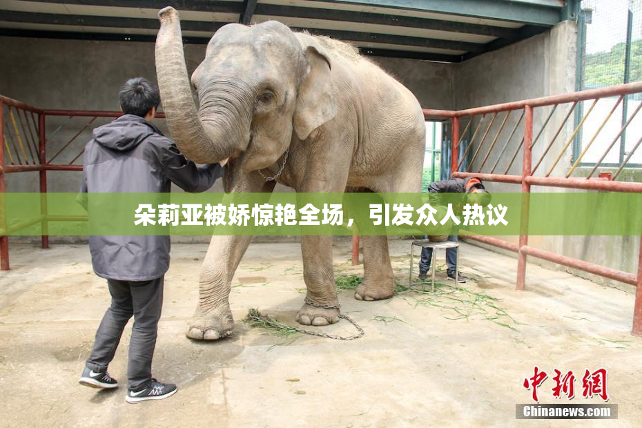 朵莉亚被娇惊艳全场，引发众人热议