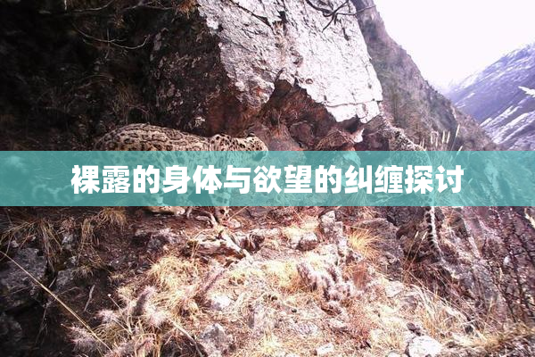 裸露的身体与欲望的纠缠探讨