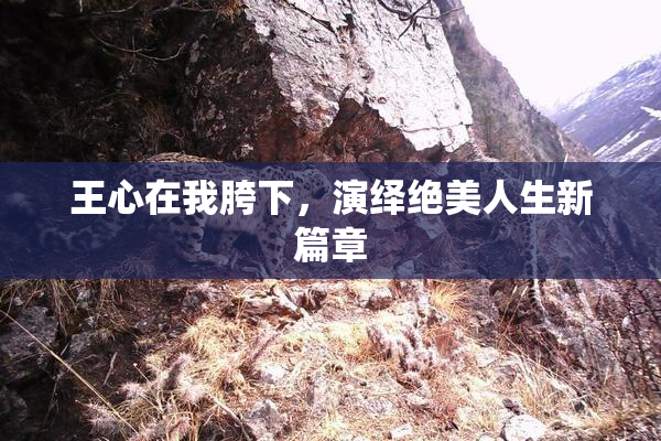 王心在我胯下，演绎绝美人生新篇章