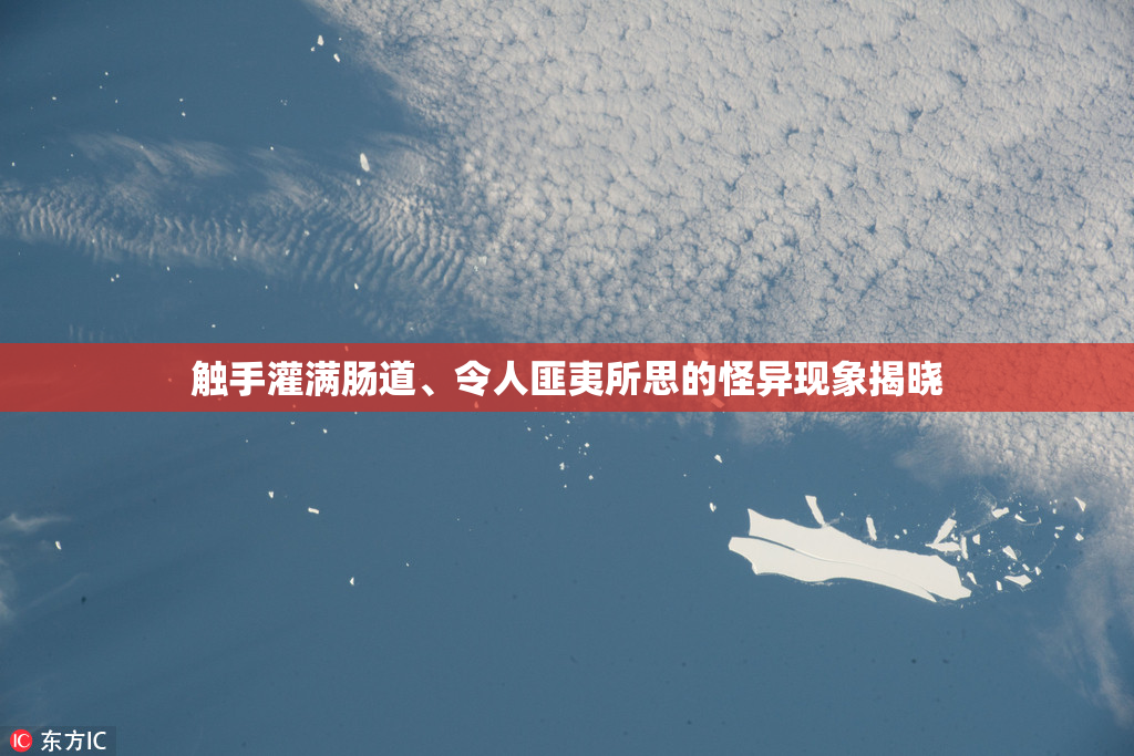 触手灌满肠道、令人匪夷所思的怪异现象揭晓