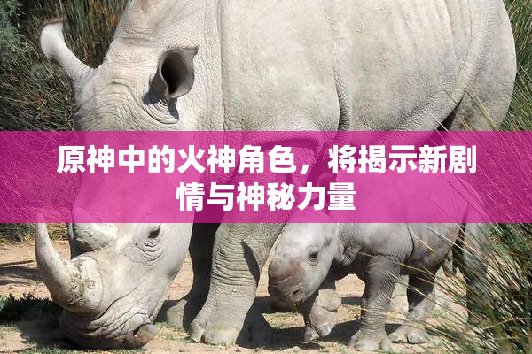 原神中的火神角色，将揭示新剧情与神秘力量