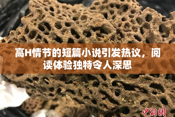 高H情节的短篇小说引发热议，阅读体验独特令人深思
