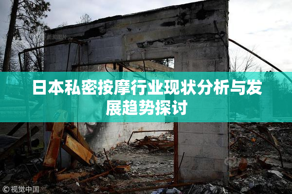 日本私密按摩行业现状分析与发展趋势探讨