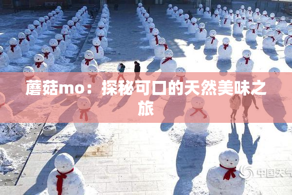 蘑菇mo：探秘可口的天然美味之旅