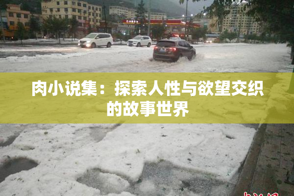 肉小说集：探索人性与欲望交织的故事世界