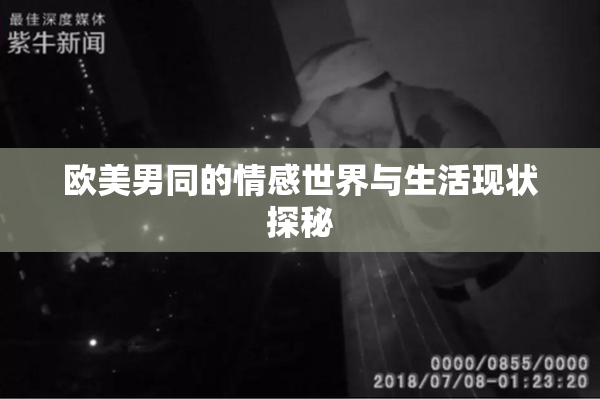欧美男同的情感世界与生活现状探秘
