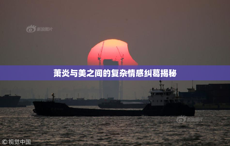 萧炎与美之间的复杂情感纠葛揭秘