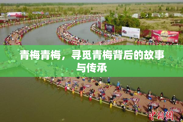 青梅青梅，寻觅青梅背后的故事与传承