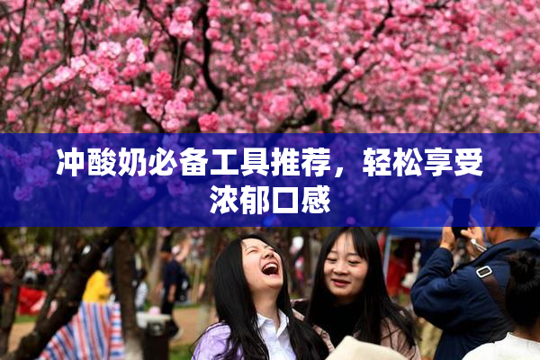 冲酸奶必备工具推荐，轻松享受浓郁口感
