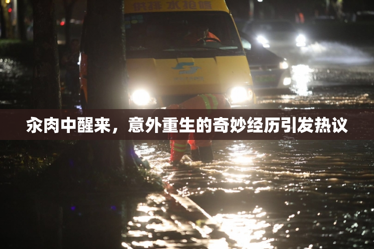 汆肉中醒来，意外重生的奇妙经历引发热议