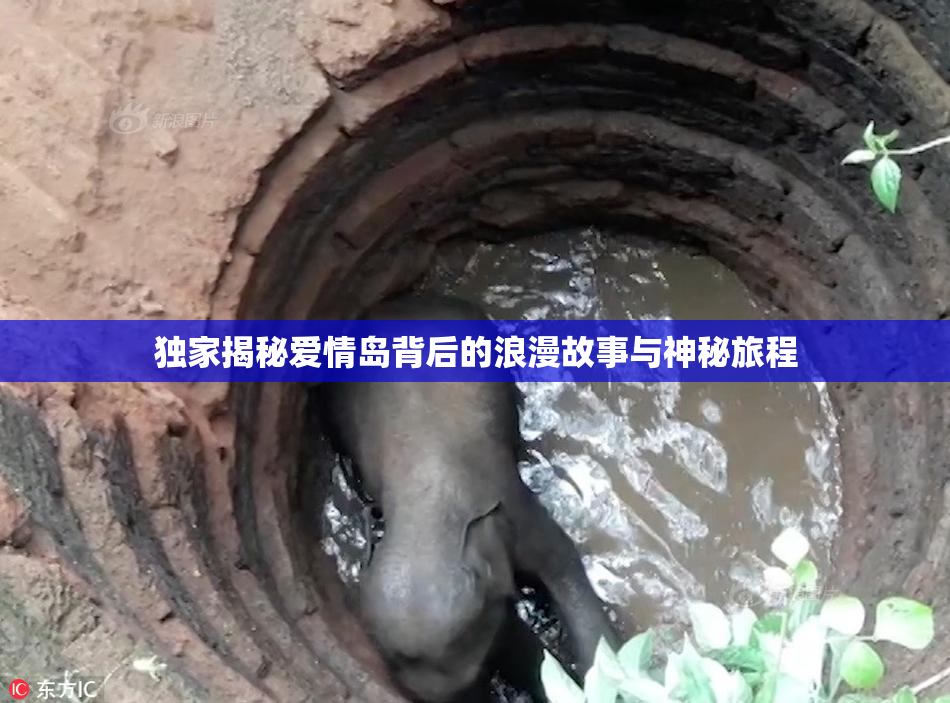 独家揭秘爱情岛背后的浪漫故事与神秘旅程