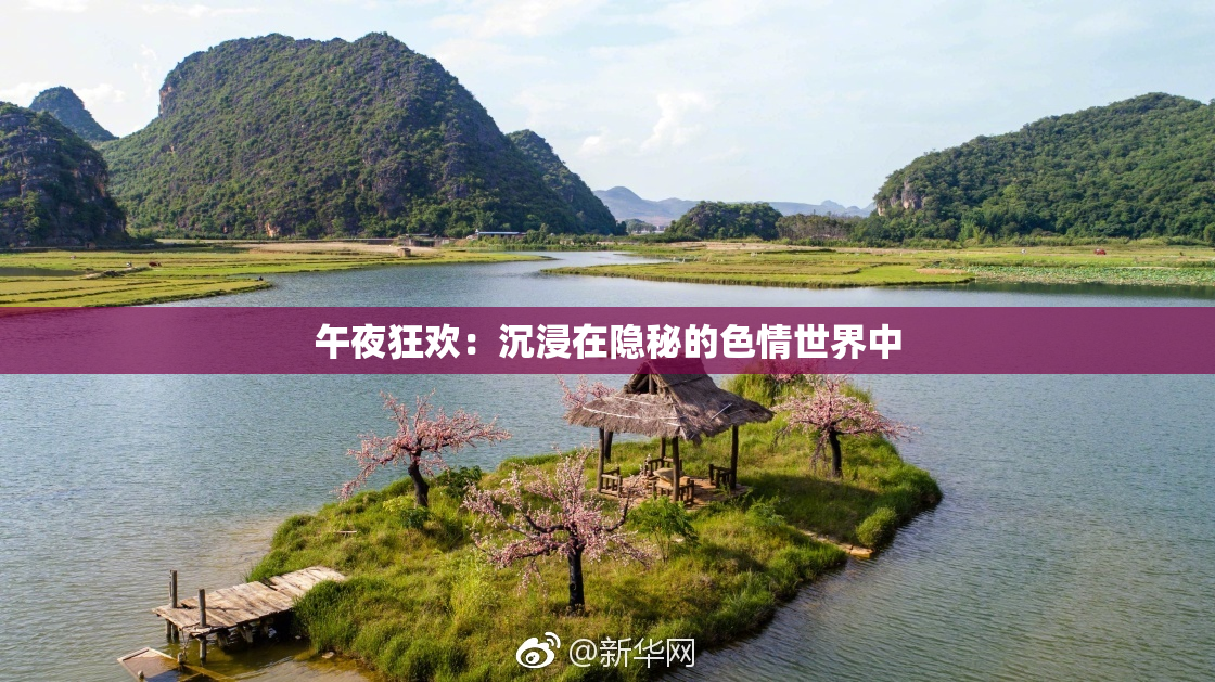 午夜狂欢：沉浸在隐秘的色情世界中