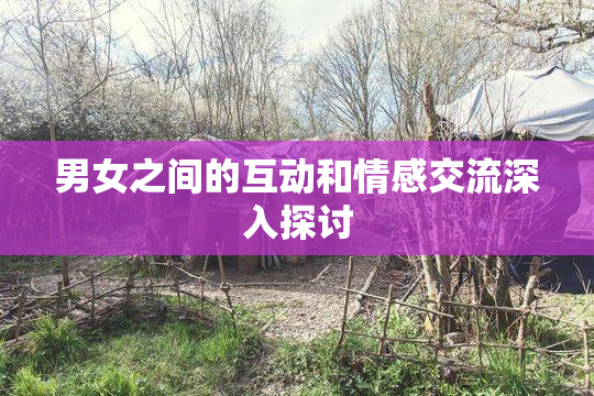 男女之间的互动和情感交流深入探讨