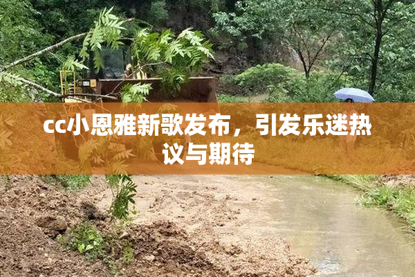 cc小恩雅新歌发布，引发乐迷热议与期待