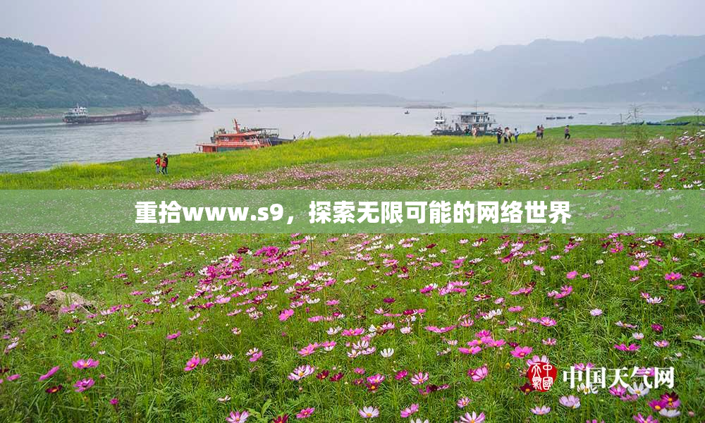 重拾www.s9，探索无限可能的网络世界
